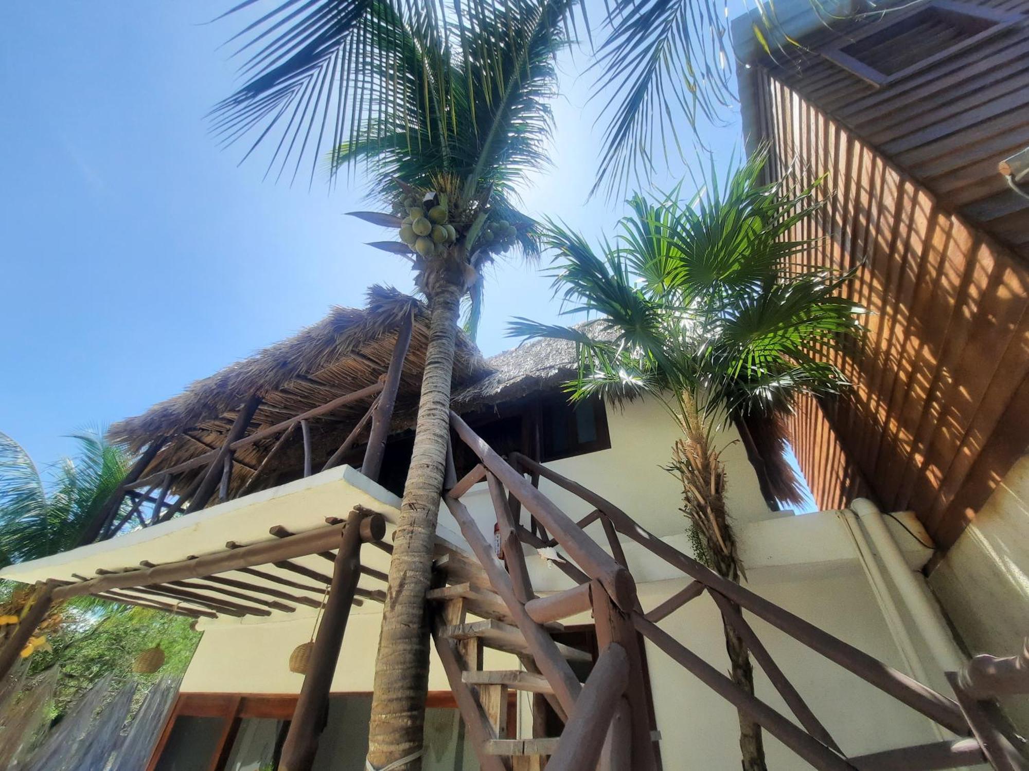 Casa Sofia Holbox Lejlighedshotel Eksteriør billede