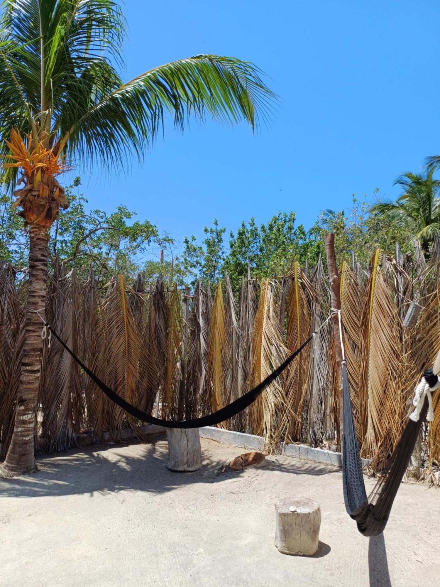 Casa Sofia Holbox Lejlighedshotel Eksteriør billede